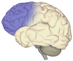 Aggression After Brain Injury